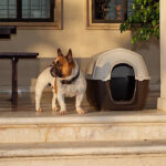 FP CASA PERRO PLASTICA KENNY 01, 50x78x50h cm - Imagen 4