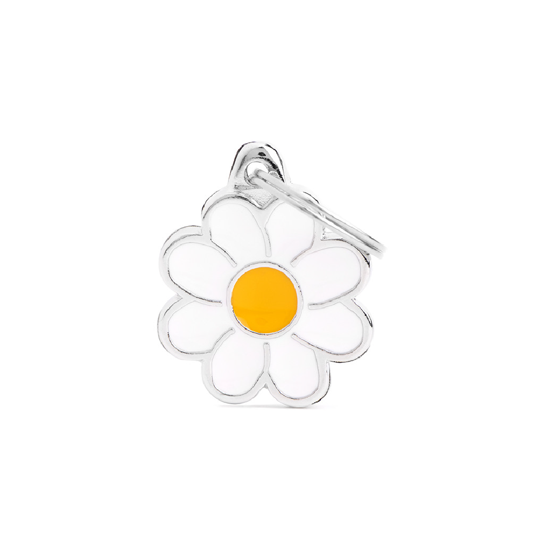 CH01 (1) MY FAMILY DAISY - Imagen 1