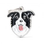 MY FAMILY BORDER COLLIE