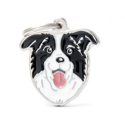 MY FAMILY BORDER COLLIE