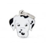 MY FAMILY DALMATIAN