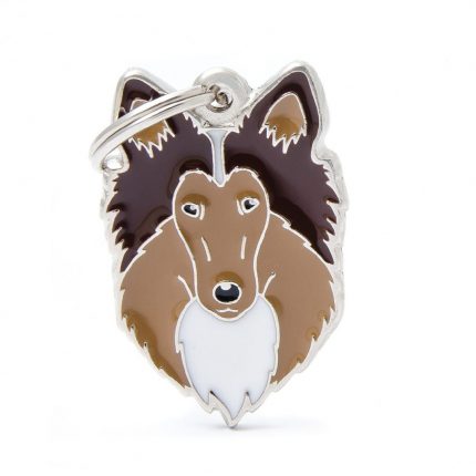 MY FAMILY COLLIE