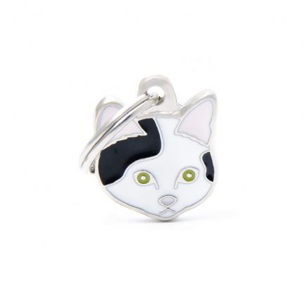 MY FAMILY WHITE AND BLACK EUROPEAN SHORTHAIR