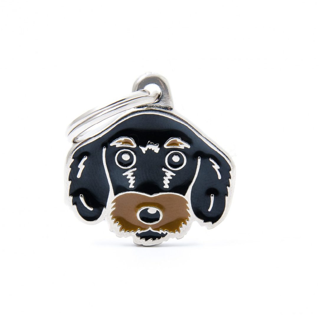 MF71BLACK (2) MY FAMILY BLACK AND TAN WIRE-HAIRED DACHSHUND - Imagen 1