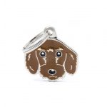 MY FAMILY FAWN WIRE-HAIRED DACHSHUND