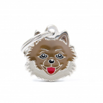 MY FAMILY POMERANIAN