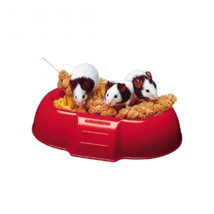 FP PLATO DE ALIMENTO PARA HAMSTER, DADA, 16.5x11.5x3.5h cm