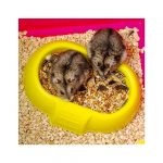 FP JAULA PARA HAMSTER, LAURA, 46x29.5x37.5h cm - Imagen 3
