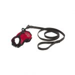 FP ARNES PEQ ANIMALES, LARGE, 20-24 cm/26-34 cm/10 mm