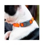FP COLLAR EVOLUTION, 23-32 cm/16 mm, C16/32, MORADO - Imagen 6