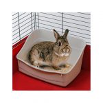 FP BAÑO EN BANDEJA PARA ANIMALES PEQ, 37x27x18.5h cm - Imagen 2