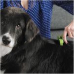 FURminator LONG HAIR deShedding Tools FOR DOG, SM - Imagen 5