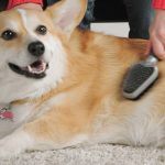 FURminator DUAL GROOMING BRUSH DOG/CAT - Imagen 5