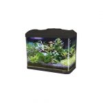 ACUARIO 60 LITROS + S. FILTRACIÓN + ILUMINACIÓN LED
