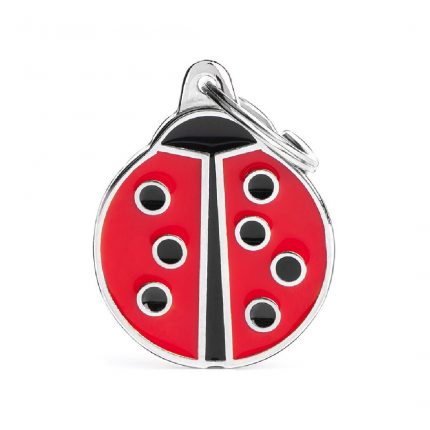 MY FAMILY BIG LADYBUG