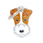 MY FAMILY FOX TERRIER