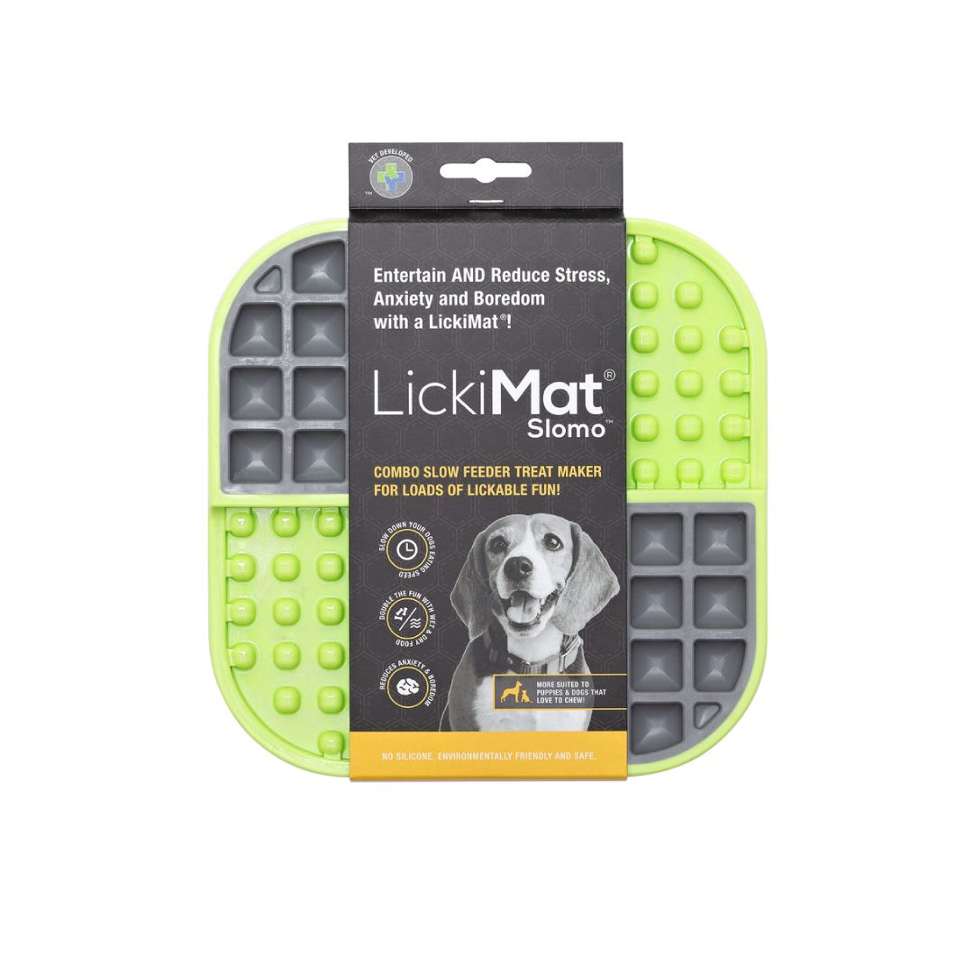 LM3001GN-DR (1) LM SLOMO GREEN FOR DOG - Imagen 1