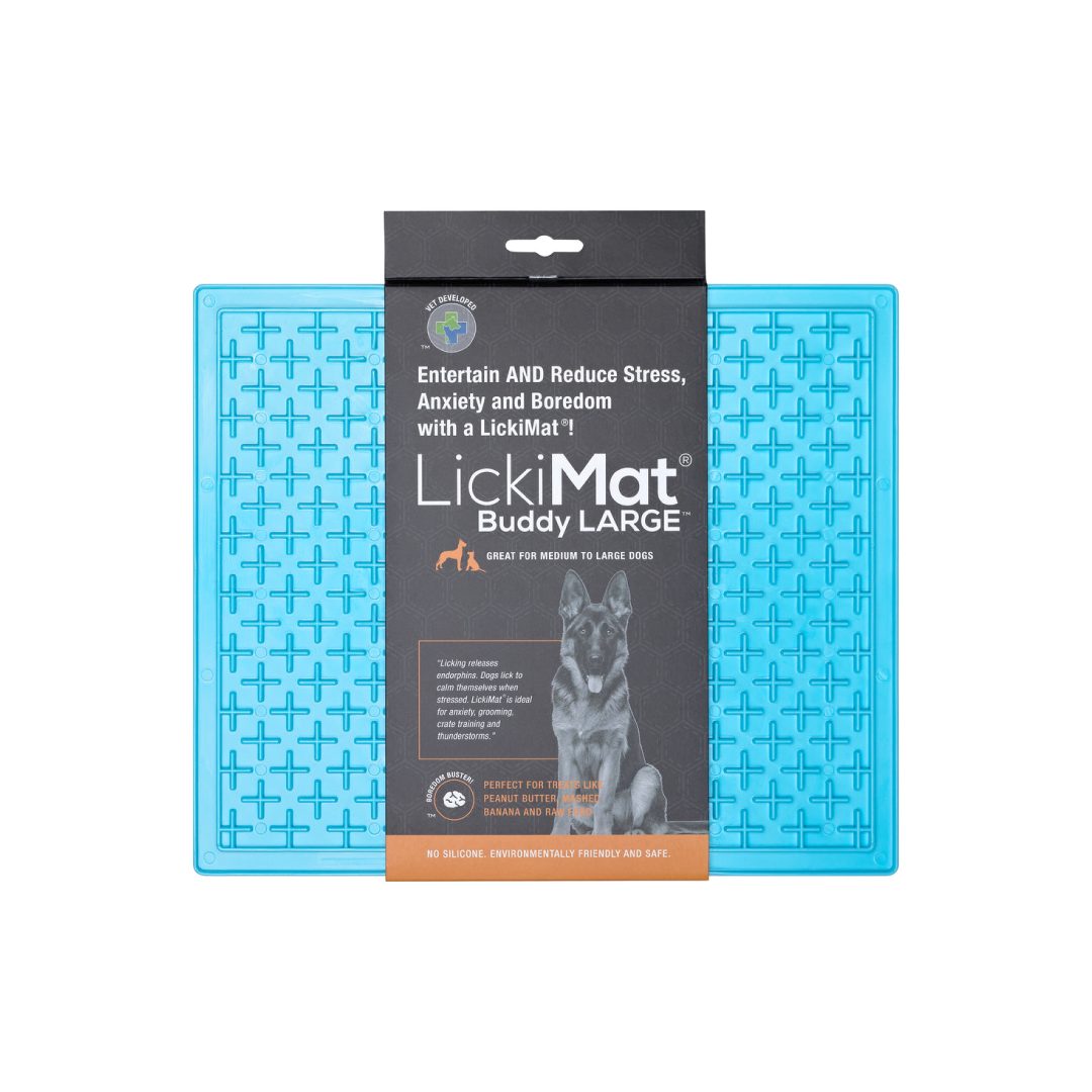 LM9903TQ-DR (1) LM BUDDY LARGE TURQUOISE FOR DOG - Imagen 1