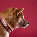 MF COLLAR ROYAL THE QUEEN, CREMA Y BURDEO, 35/45-2,2 cm / MD - Imagen 5