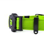 MF MEMOPET COLLAR NYLON VERDE, 26/37-1,6 cm / SM - Imagen 2
